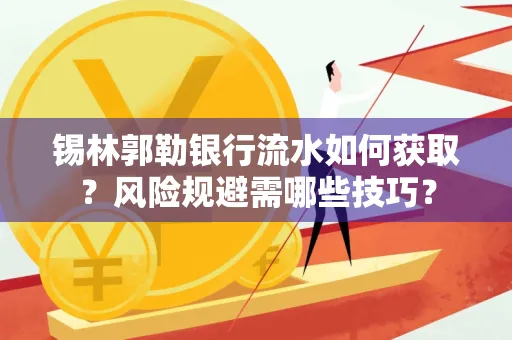 锡林郭勒银行流水如何获取?风险规避需哪些技巧?