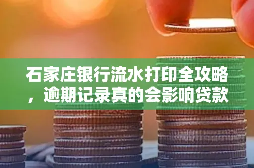 石家庄银行流水打印全攻略,逾期记录真的会影响贷款吗?