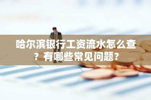 哈尔滨银行工资流水怎么查?有哪些常见问题?