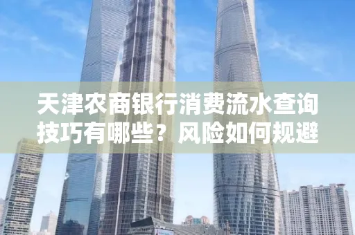 天津农商银行消费流水查询技巧有哪些?风险如何规避?