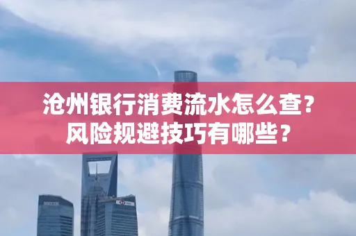 沧州银行消费流水怎么查?风险规避技巧有哪些?