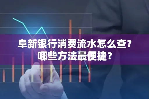阜新银行消费流水怎么查?哪些方法最便捷?