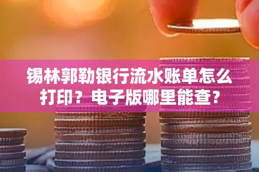 锡林郭勒银行流水账单怎么打印?电子版哪里能查?