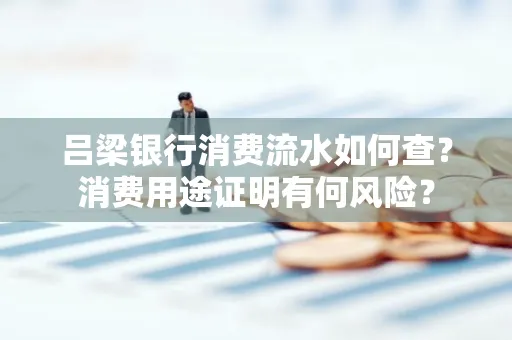 吕梁银行消费流水如何查?消费用途证明有何风险?