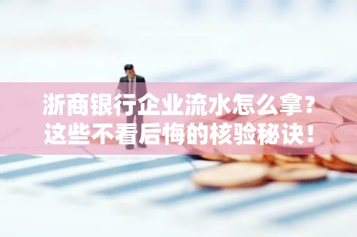 浙商银行企业流水怎么拿?这些不看后悔的核验秘诀!