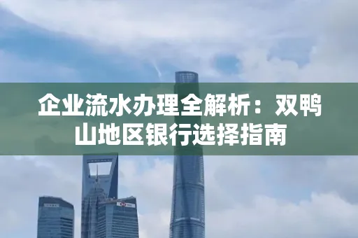 企业流水办理全解析:双鸭山地区银行选择指南