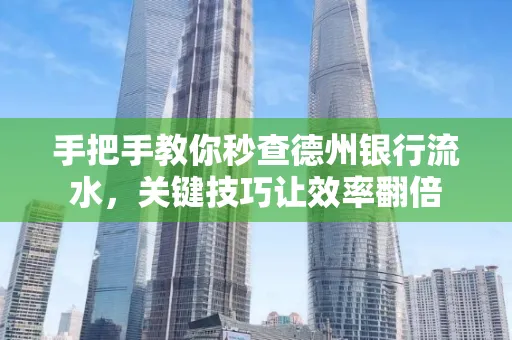 手把手教你秒查德州银行流水,关键技巧让效率翻倍