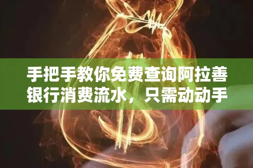 手把手教你免费查询阿拉善银行消费流水,只需动动手指就能完成