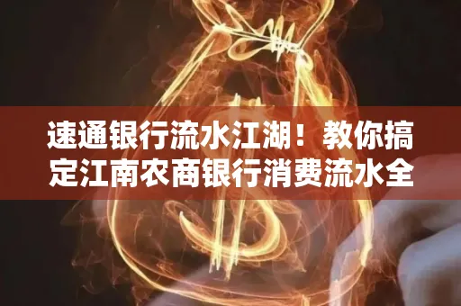 速通银行流水江湖!教你搞定江南农商银行消费流水全攻略+防坑指南