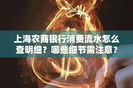 上海农商银行消费流水怎么查明细?哪些细节需注意?