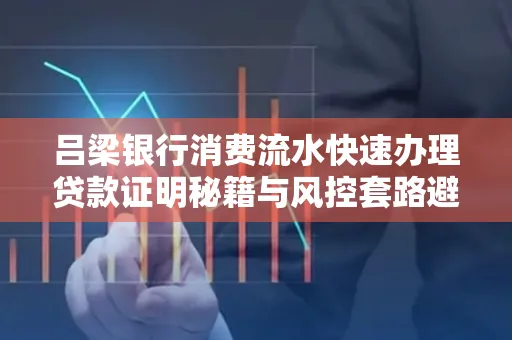 吕梁银行消费流水快速办理贷款证明秘籍与风控套路避坑指南