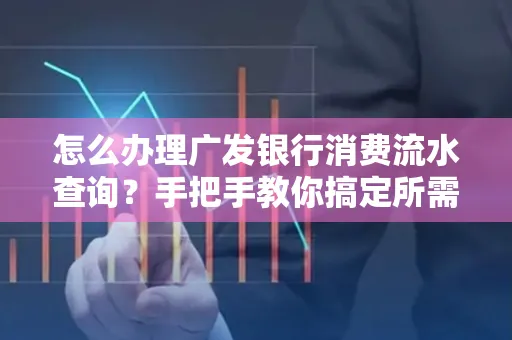 怎么办理广发银行消费流水查询?手把手教你搞定所需材料和流程