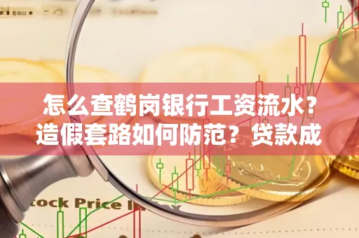 怎么查鹤岗银行工资流水?造假套路如何防范?贷款成功率翻倍攻略