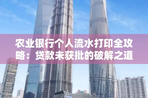 农业银行个人流水打印全攻略:贷款未获批的破解之道