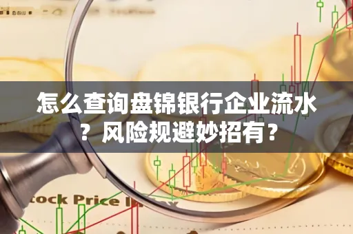怎么查询盘锦银行企业流水?风险规避妙招有?