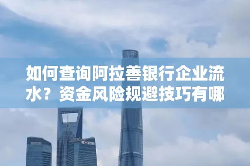 如何查询阿拉善银行企业流水?资金风险规避技巧有哪些?