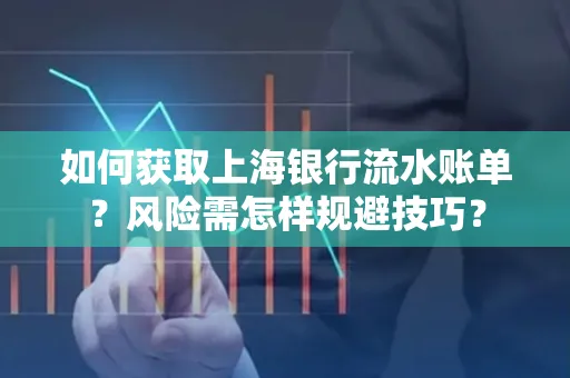 如何获取上海银行流水账单?风险需怎样规避技巧?