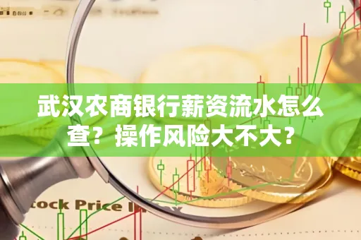 武汉农商银行薪资流水怎么查?操作风险大不大?