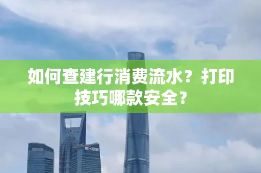 如何查建行消费流水?打印技巧哪款安全?